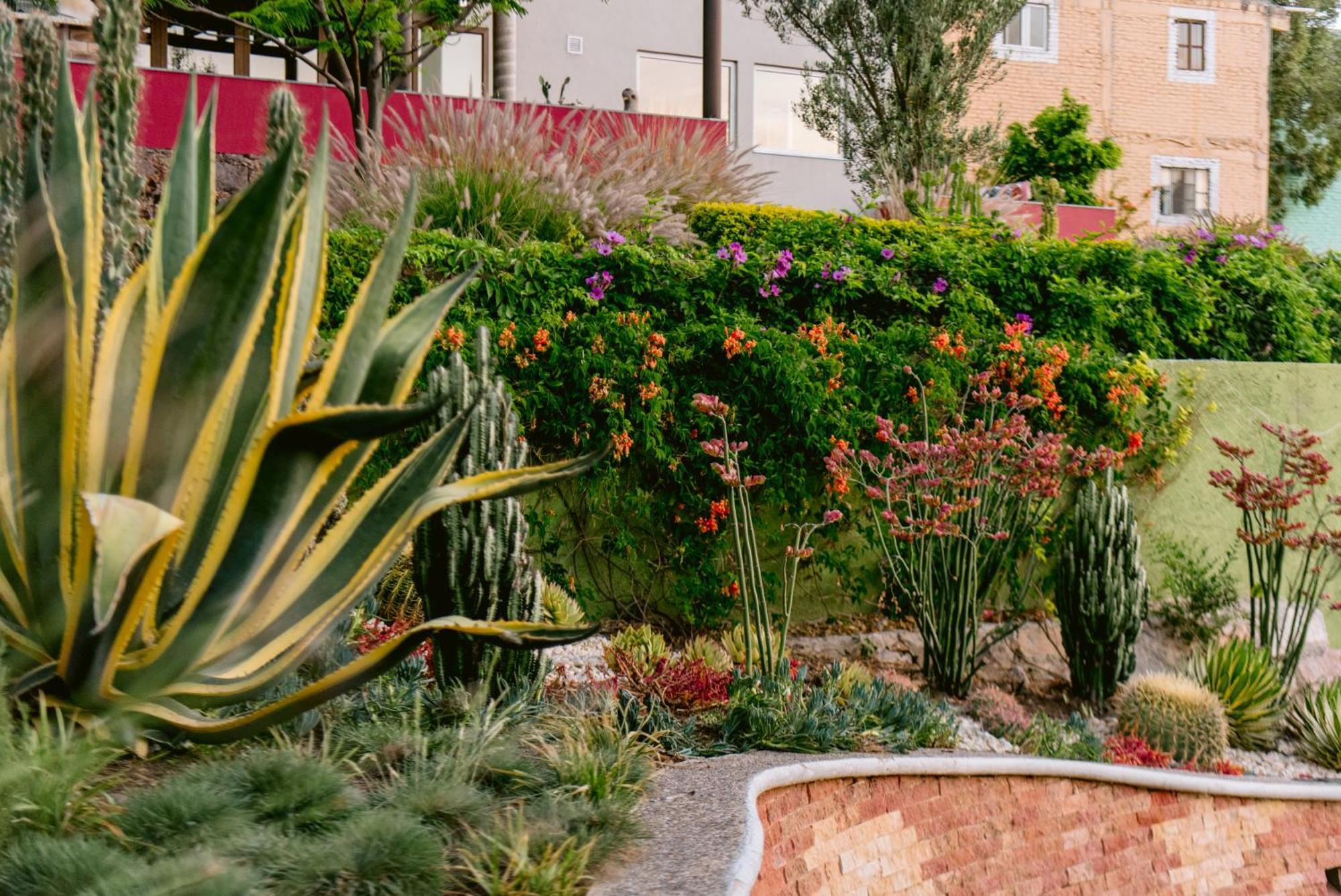 Terra Vista Aparthotel Guanajuato Kültér fotó